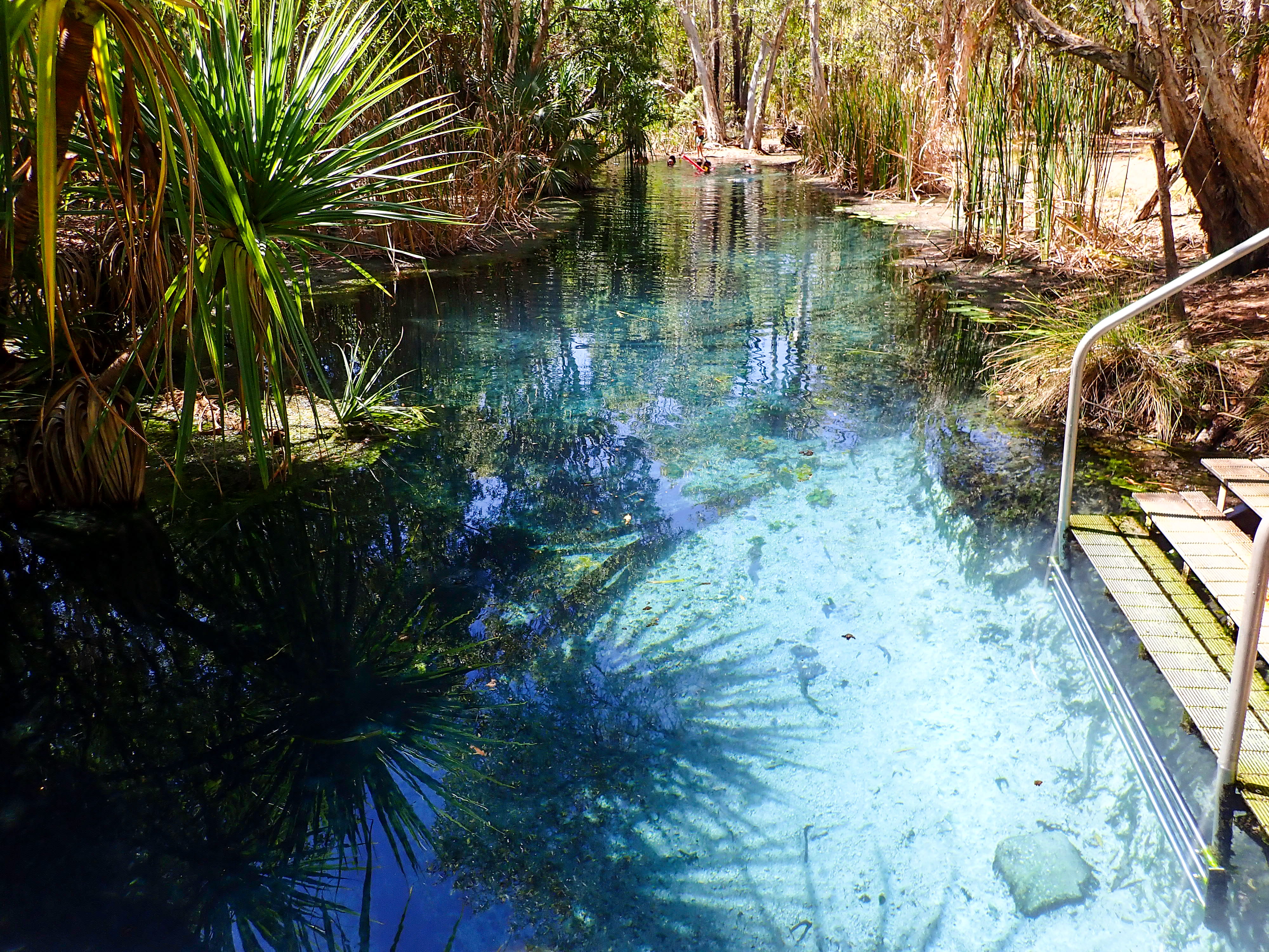 Bitter Springs thermal creek in Elsey National Park, Northern Territory