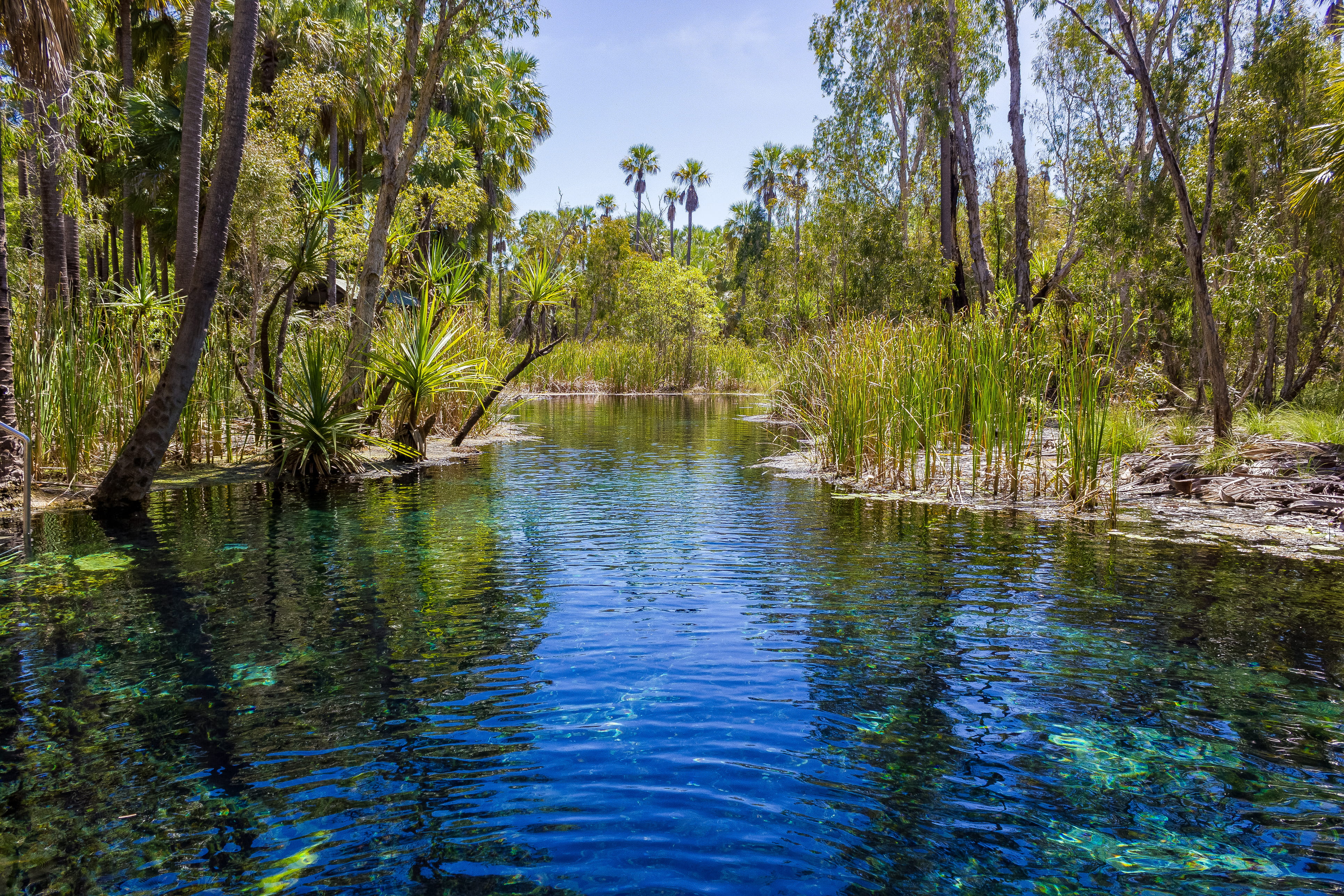 Mataranka Thermal Pool in Elsey National Park, Northern Territory
