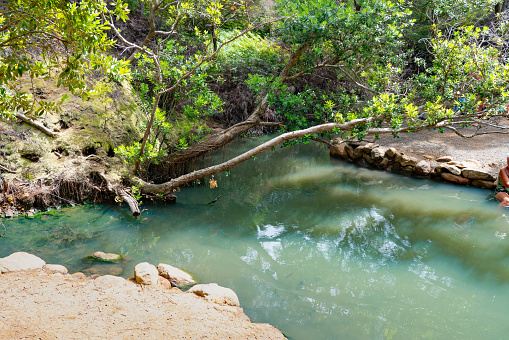 Kaitoke Hot Springs temporary placeholder image