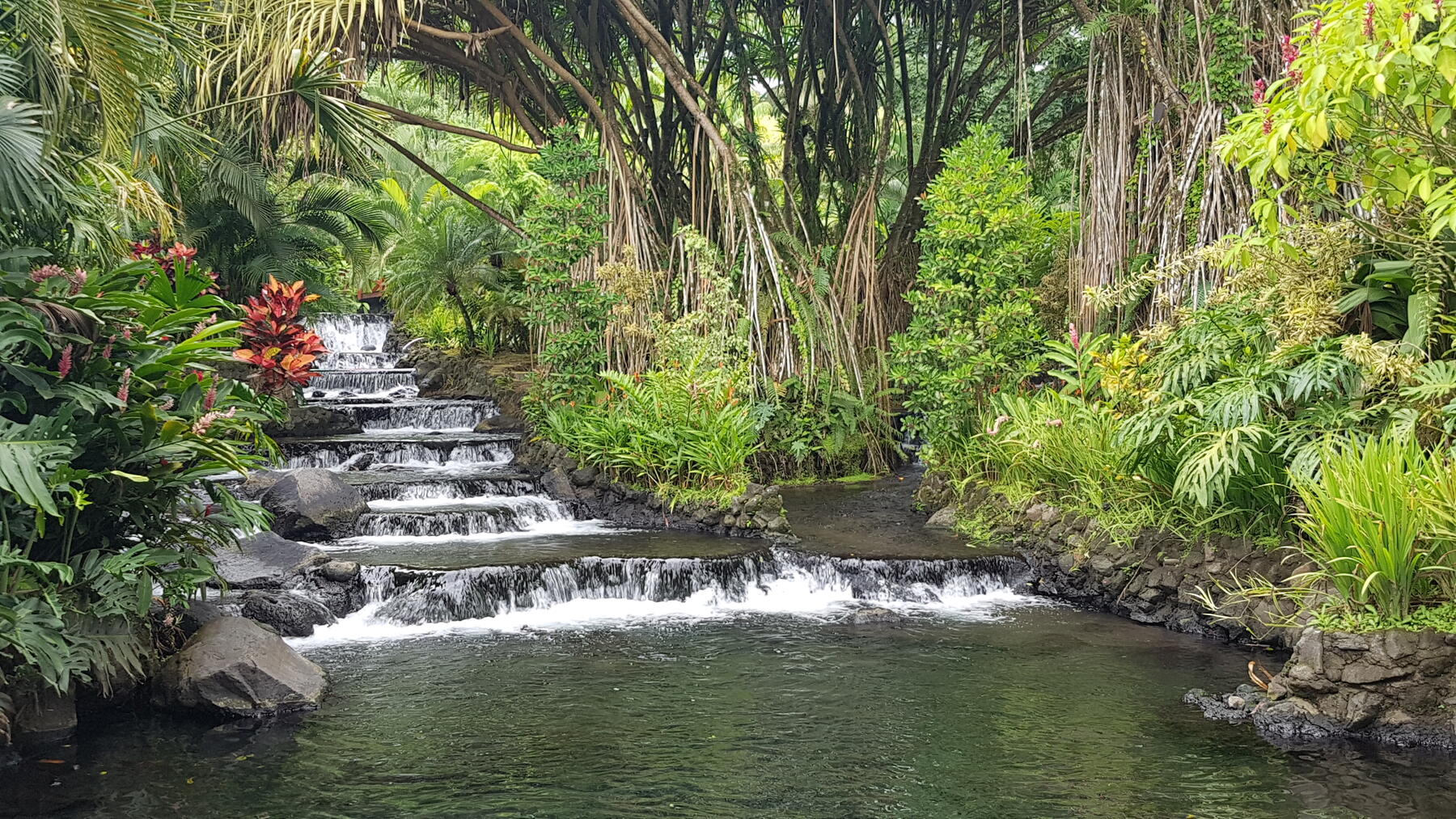 Lush jungle hot spring pools at Tabacon in Costa Rica
